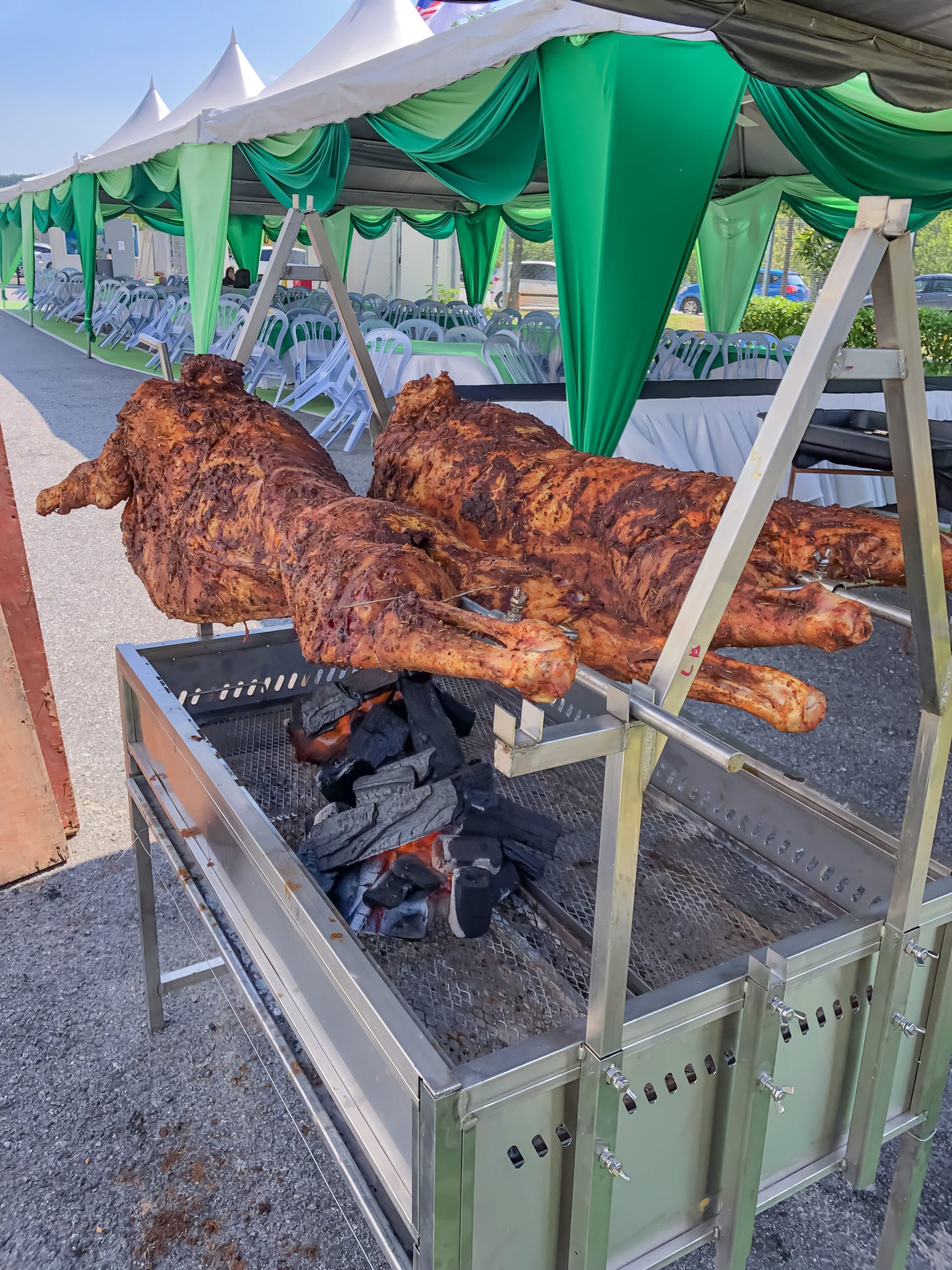 kambing golek shah alam kuala lumpur. kambing golek aqiqah shah alam terbaik