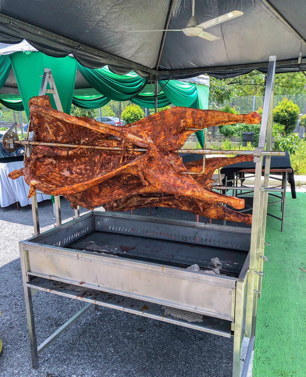 Kambing golek kuala lumpur. kambing golek shah alam